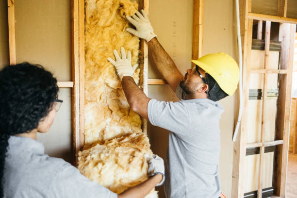 Eco-Friendly or Green Insulation Solutions in Tazewell, VA